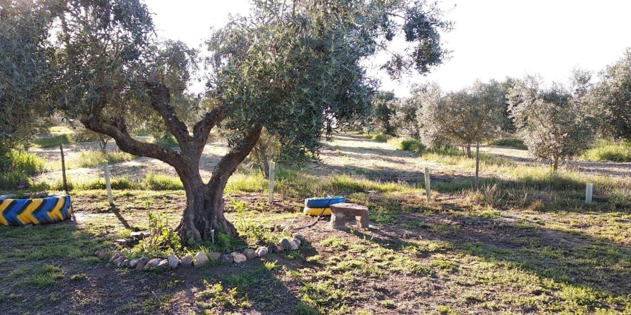פרונטיירה Lodge Rabasquinha מראה חיצוני תמונה